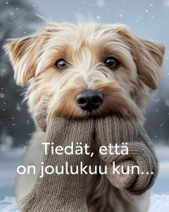 Joulu näkyy ja kuuluu myös ratin takana